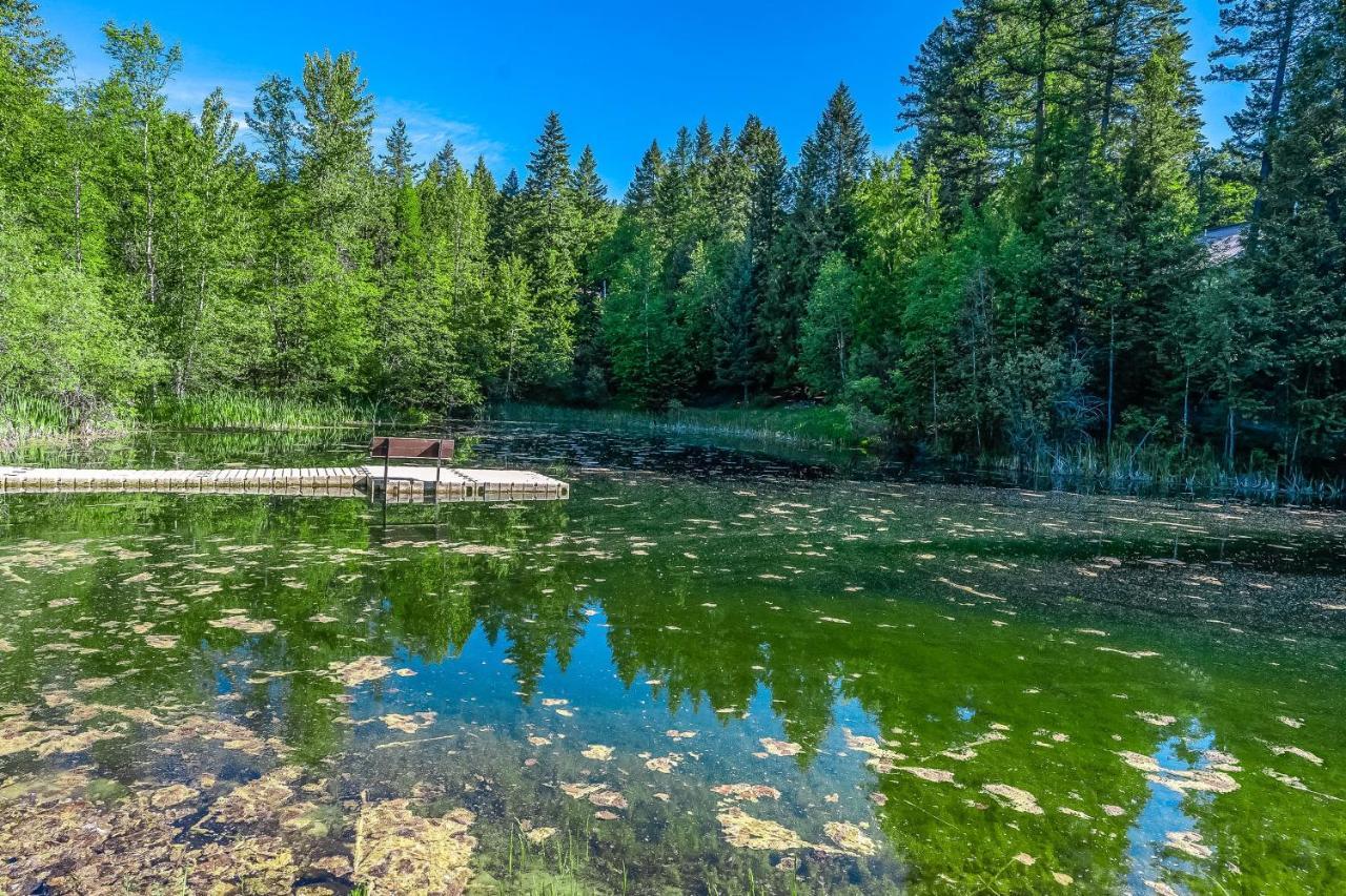 Wooded Dreams Daire Whitefish Dış mekan fotoğraf