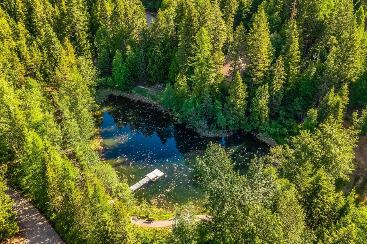 Wooded Dreams Daire Whitefish Dış mekan fotoğraf