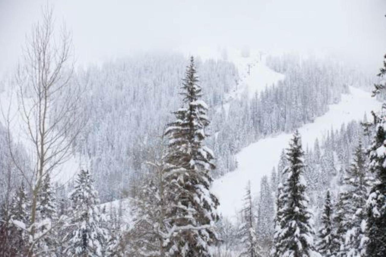 Wooded Dreams Daire Whitefish Dış mekan fotoğraf